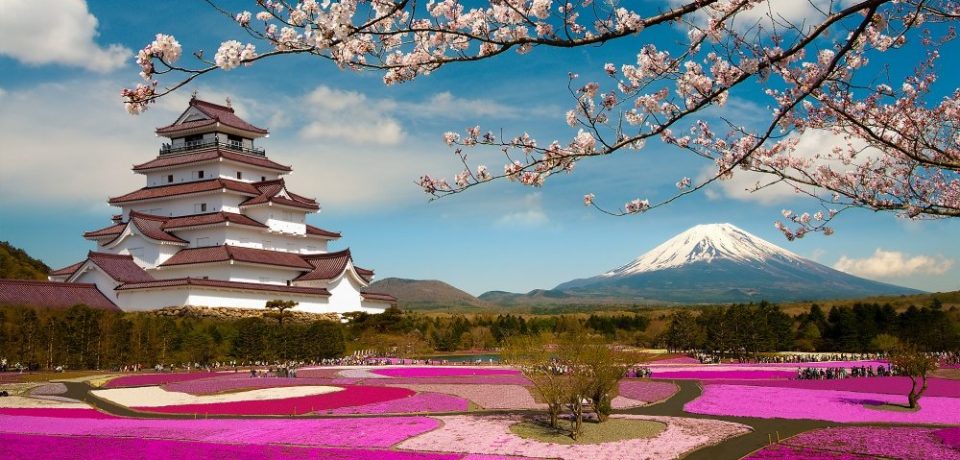 El festival Sakura en Japón